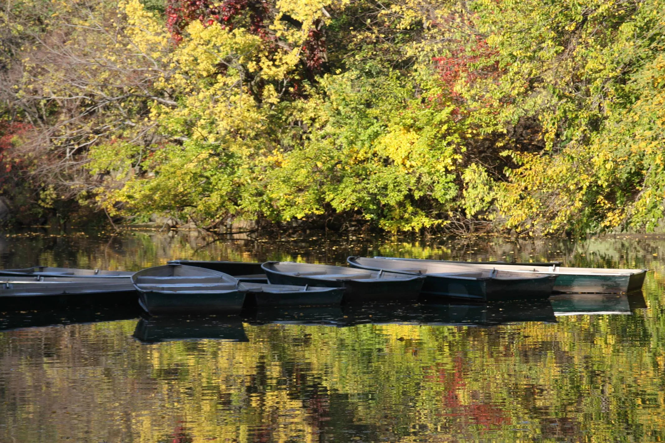 FROM A PRIVATE COLLECTION - image 3