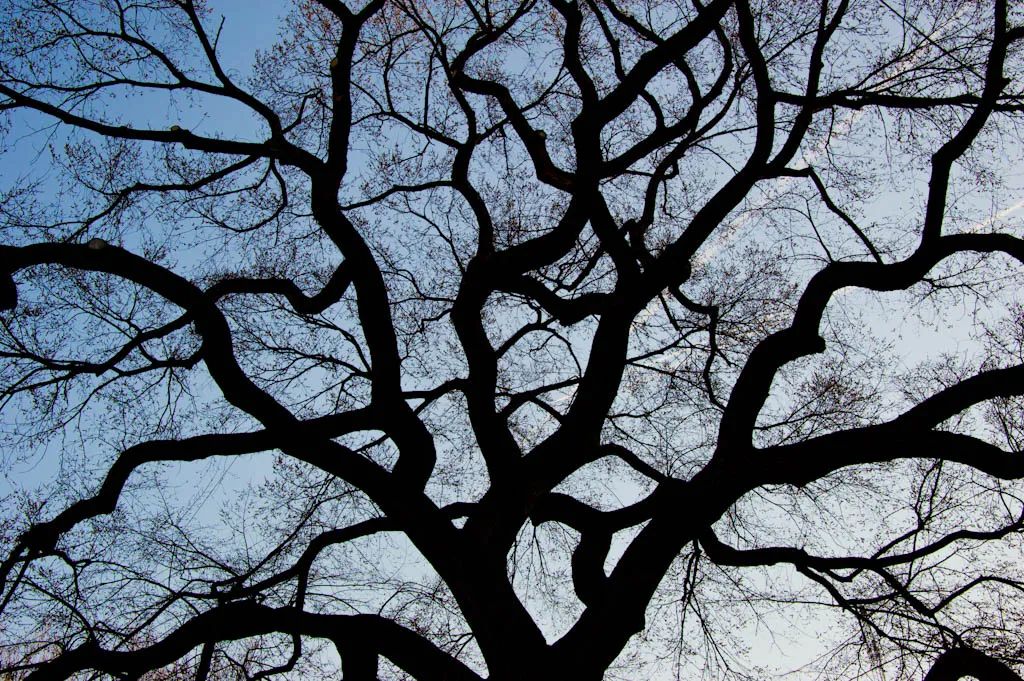 FROM A PRIVATE COLLECTION