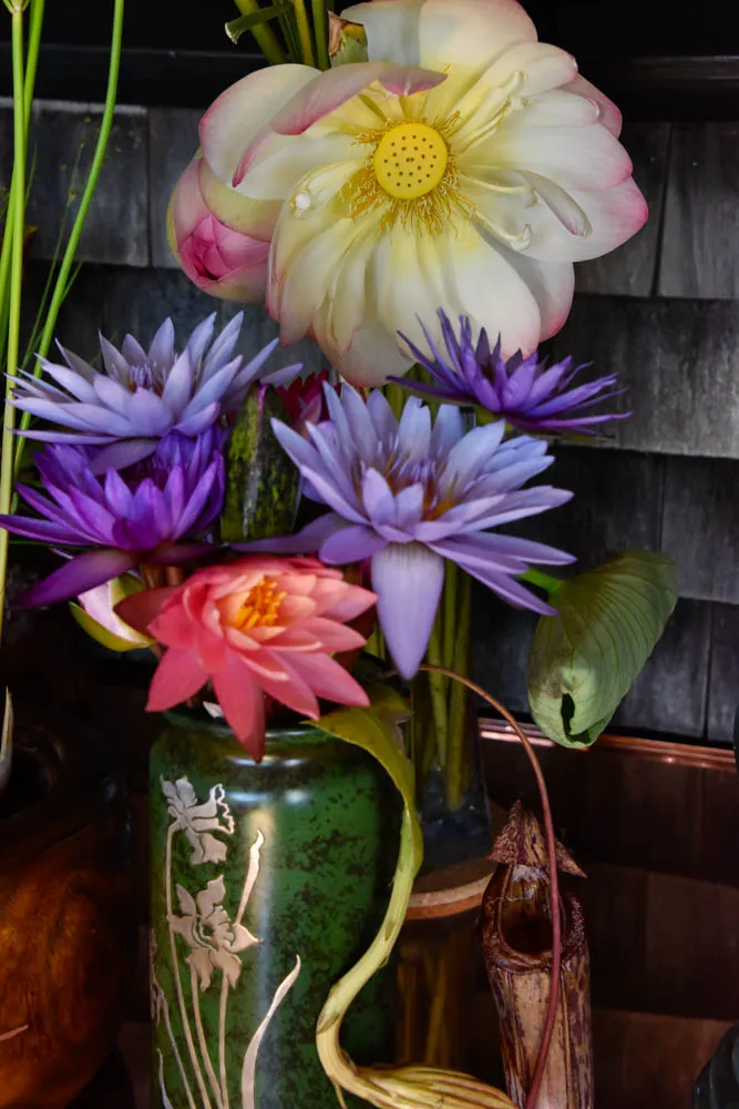 Lotus Still-Life - image 1