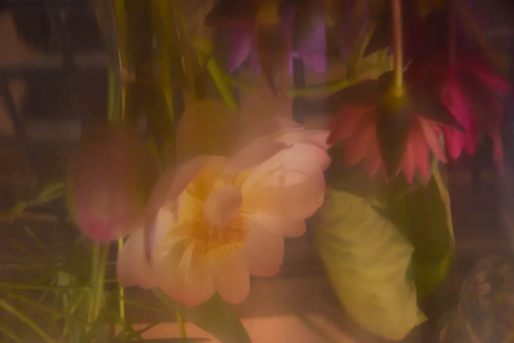 Lotus Still-Life - image 3