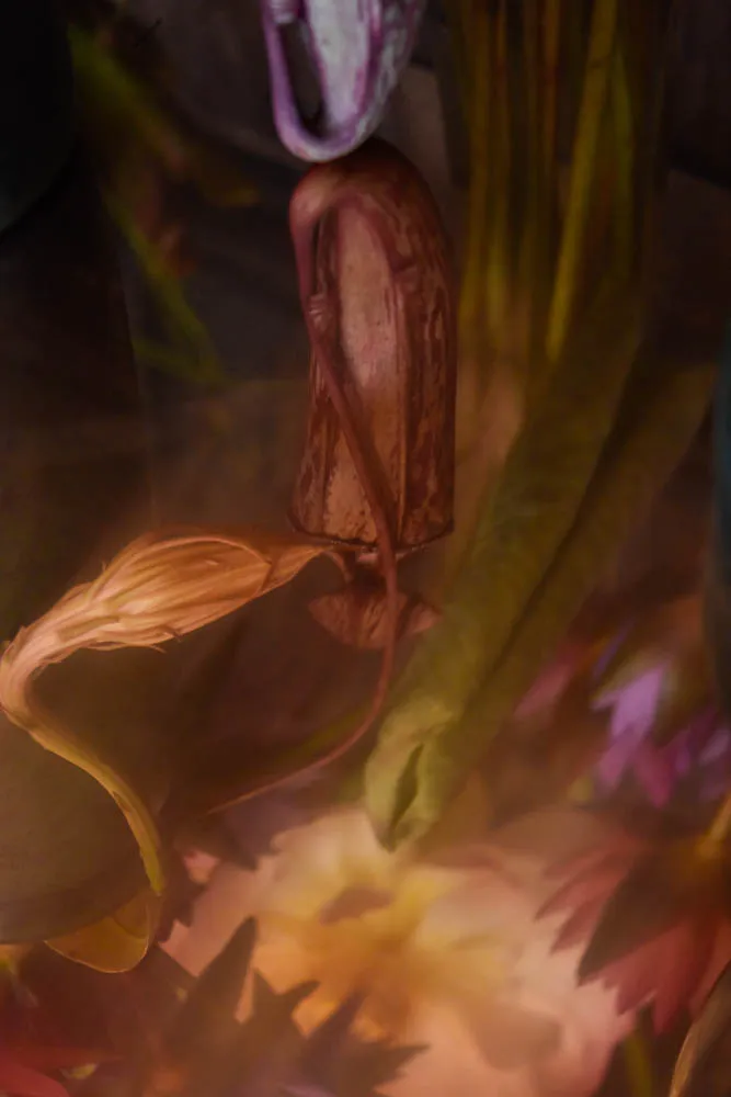 Lotus Still-Life - image 7