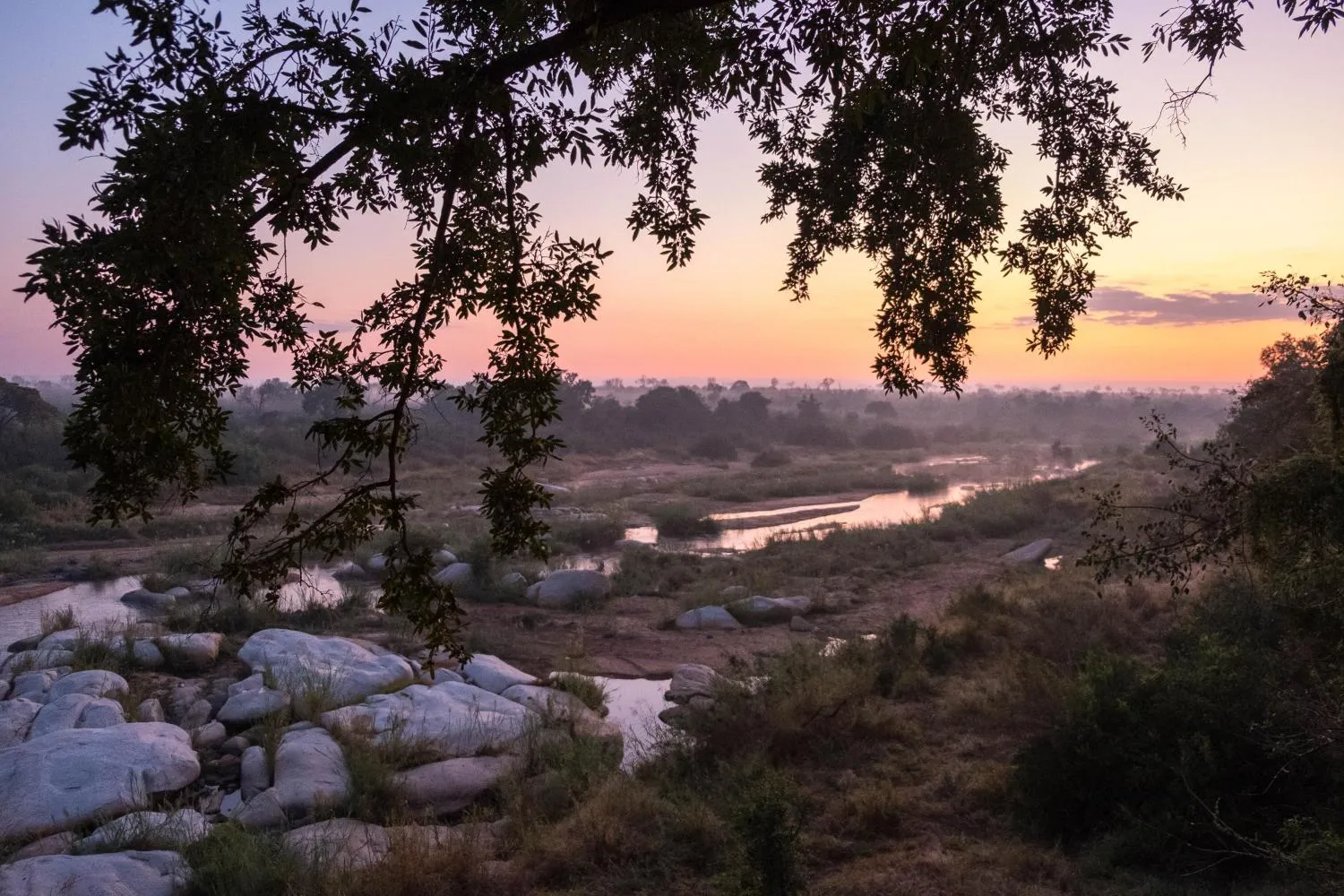 Off the Wall! On Safari With E.A. KAHANE - image 5