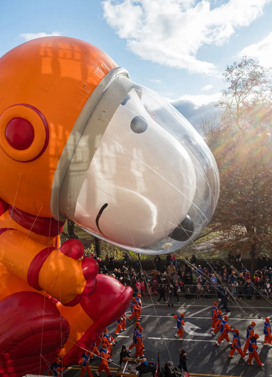 COME JOIN THE PARADE!! - image 5