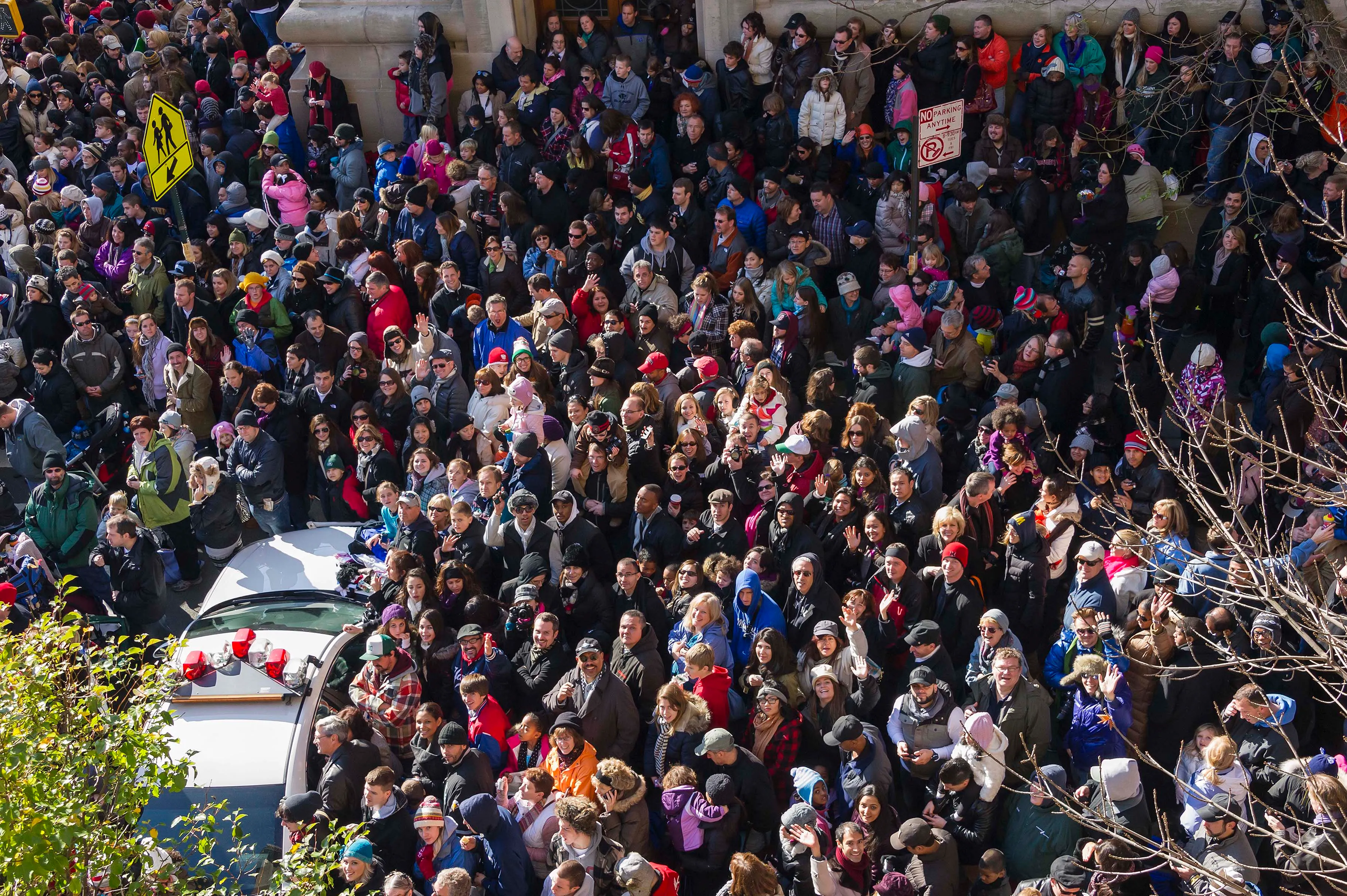 COME JOIN THE PARADE!! - image 8