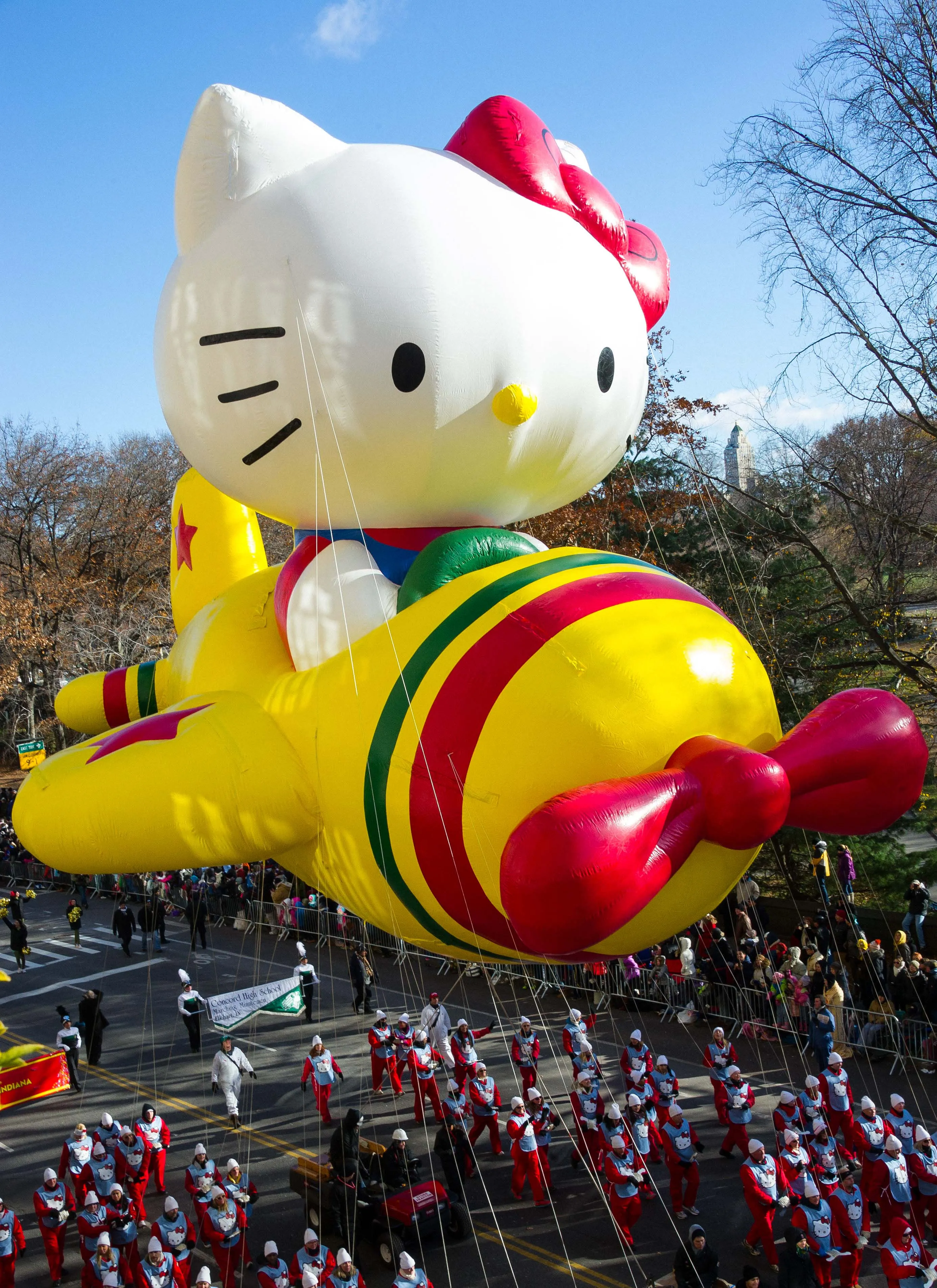 COME JOIN THE PARADE!! - image 4