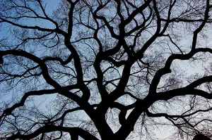 FROM A PRIVATE COLLECTION