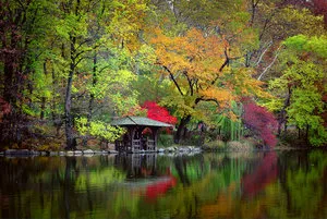 FROM A PRIVATE COLLECTION - image 4