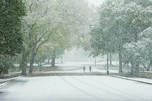 FROM A PRIVATE COLLECTION - image 2