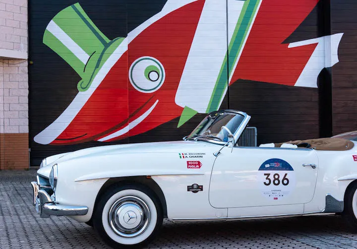 FRONT ROW SEAT, The Most Beautiful Race in the World - image 5