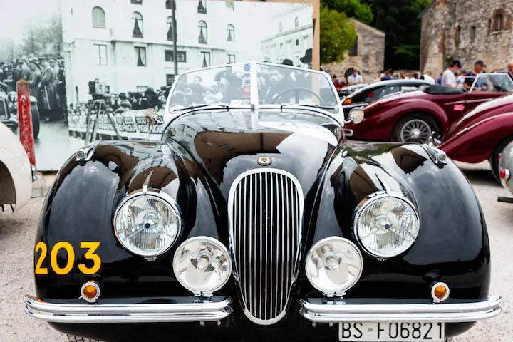 FRONT ROW SEAT, The Most Beautiful Race in the World - image 11