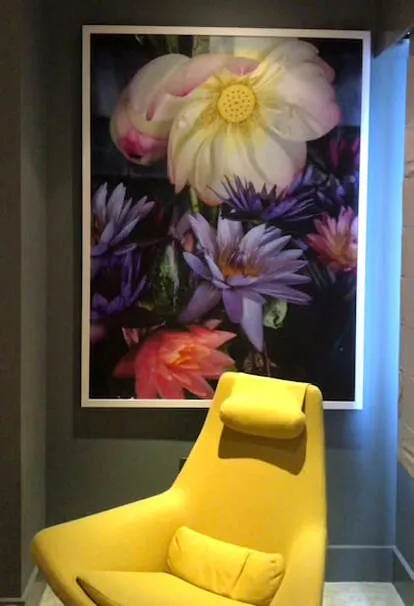 Lotus Still-Life - image 5