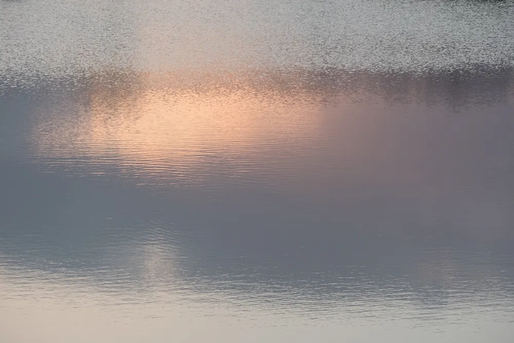 Off the Wall! On Safari With E.A. KAHANE - image 12