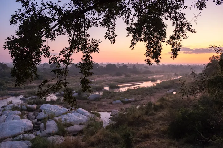 Off the Wall! On Safari With E.A. KAHANE - image 17