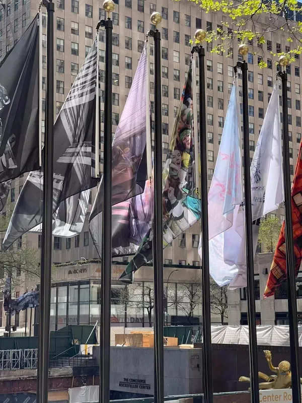 The Flag Project - image 5