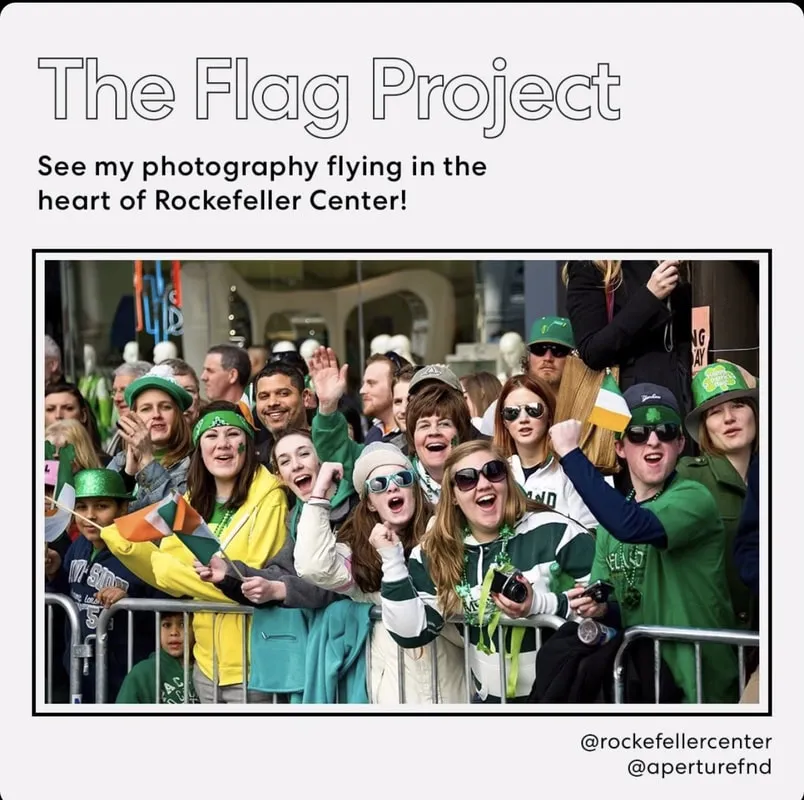 The Flag Project - image 1