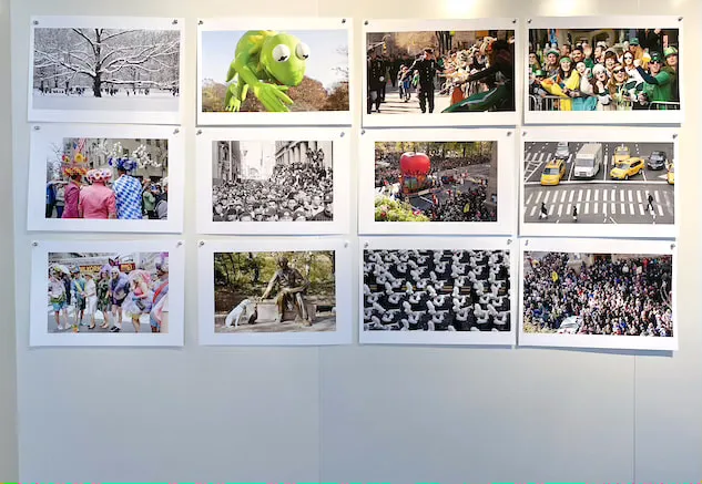 The Flag Project - image 7