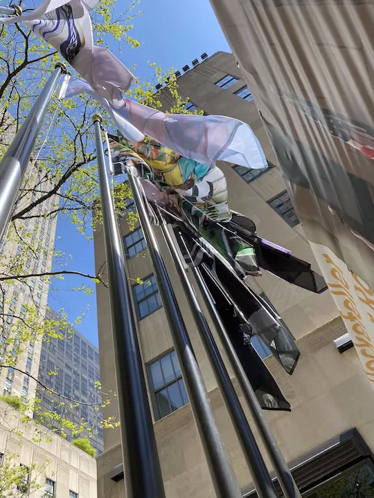 The Flag Project - image 8