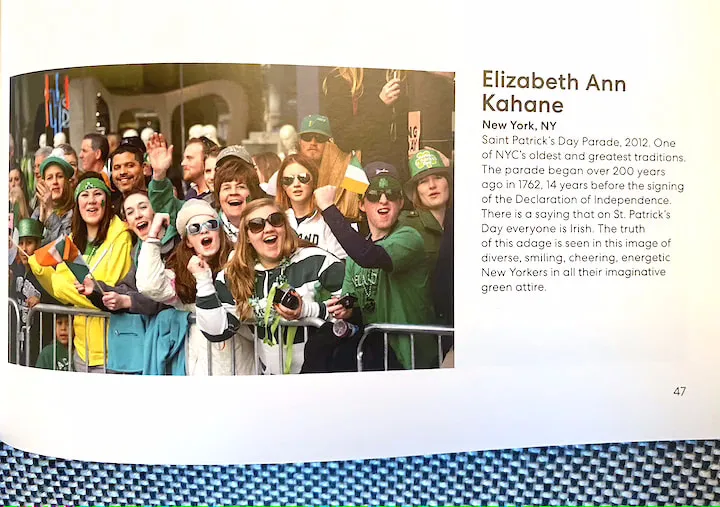 The Flag Project - image 10