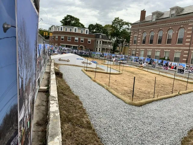 We Need a Parade! - image 5