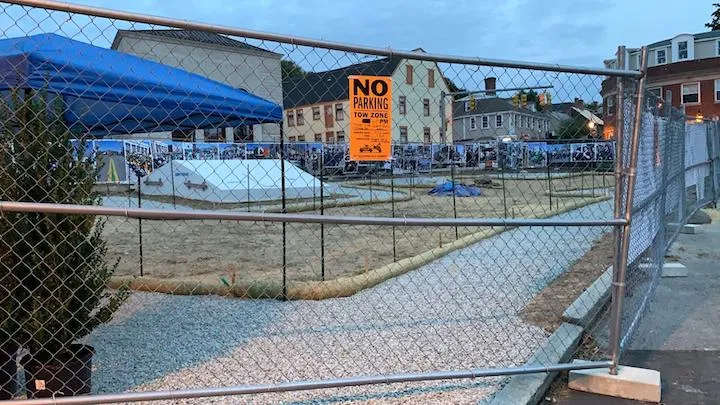 We Need a Parade! - image 6